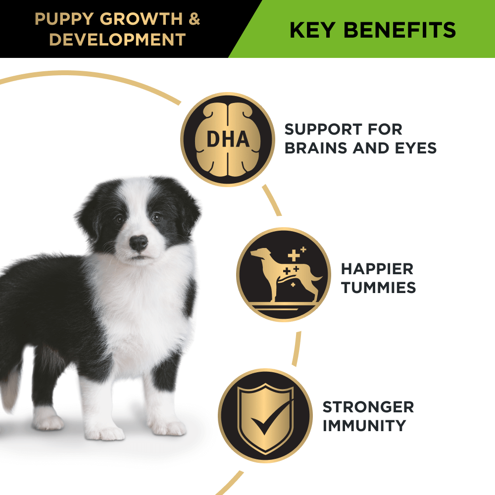 Pro Plan Chicken Medium Breed Puppy Dry Dog Food