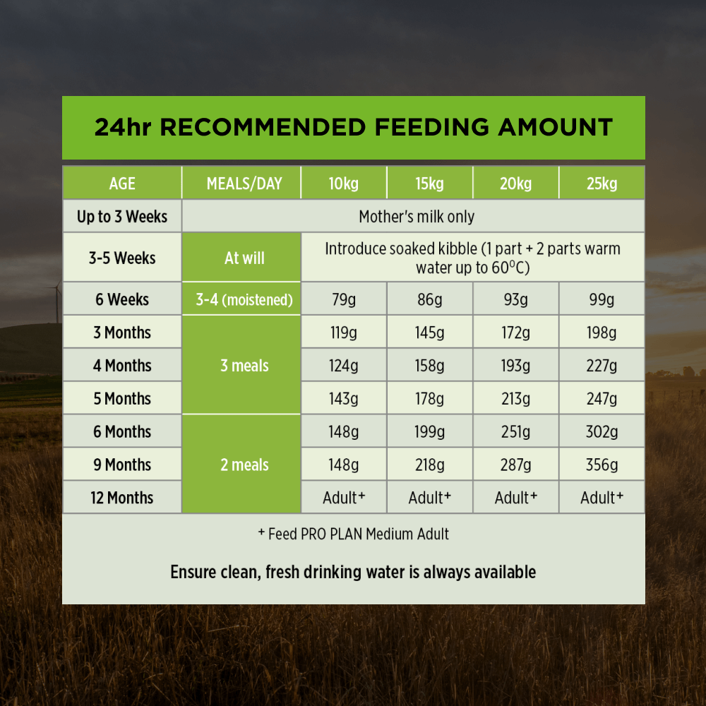Pro Plan Chicken Medium Breed Puppy Dry Dog Food