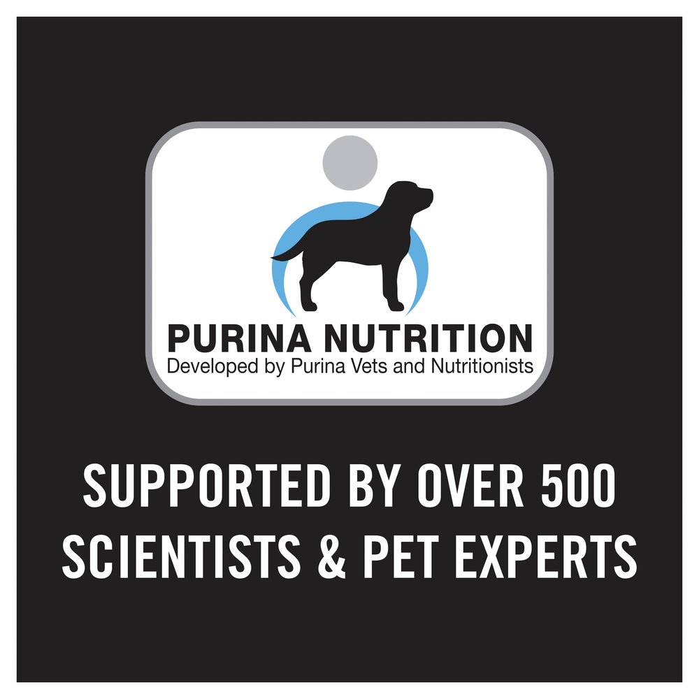 Pro Plan Essential Health Chicken Medium Breed Adult Dry Dog Food