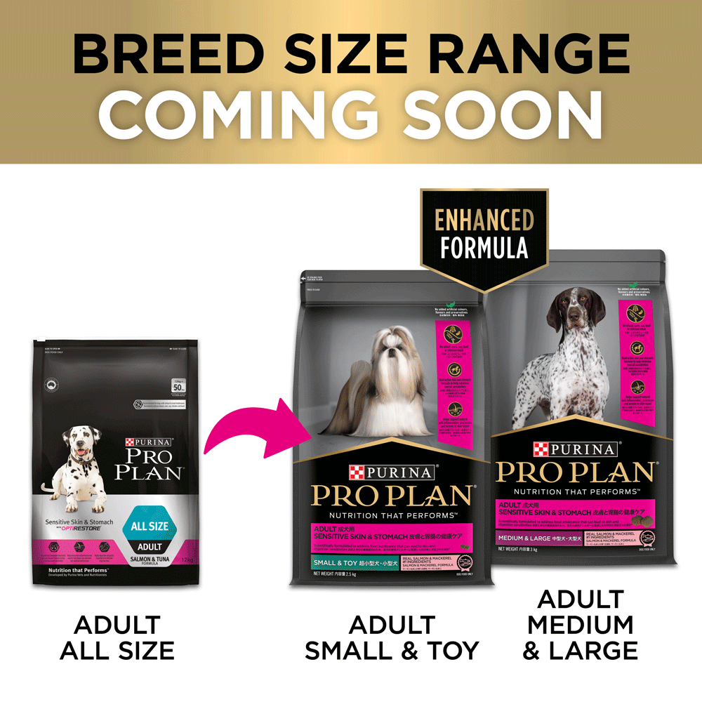 Pro Plan Sensitive Skin & Stomach Medium Large Breed Adult Dry Dog Food