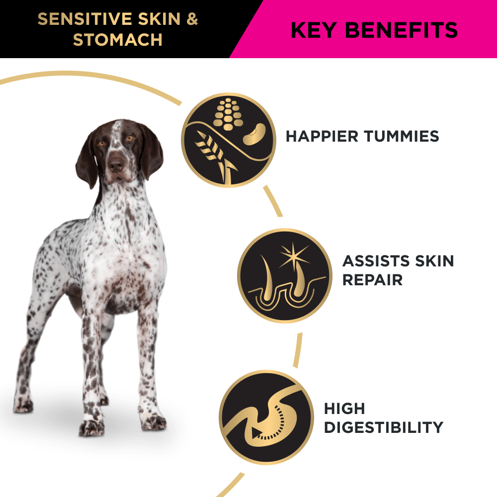 Pro Plan Sensitive Skin & Stomach Medium Large Breed Adult Dry Dog Food