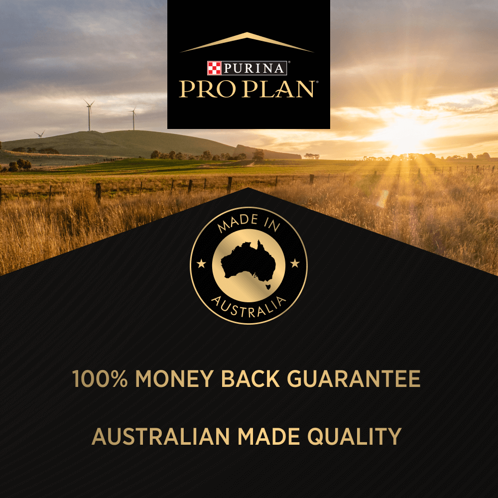 Pro Plan Sensitive Skin & Stomach Medium Large Breed Adult Dry Dog Food
