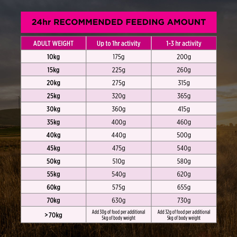 Pro Plan Sensitive Skin & Stomach Medium Large Breed Adult Dry Dog Food