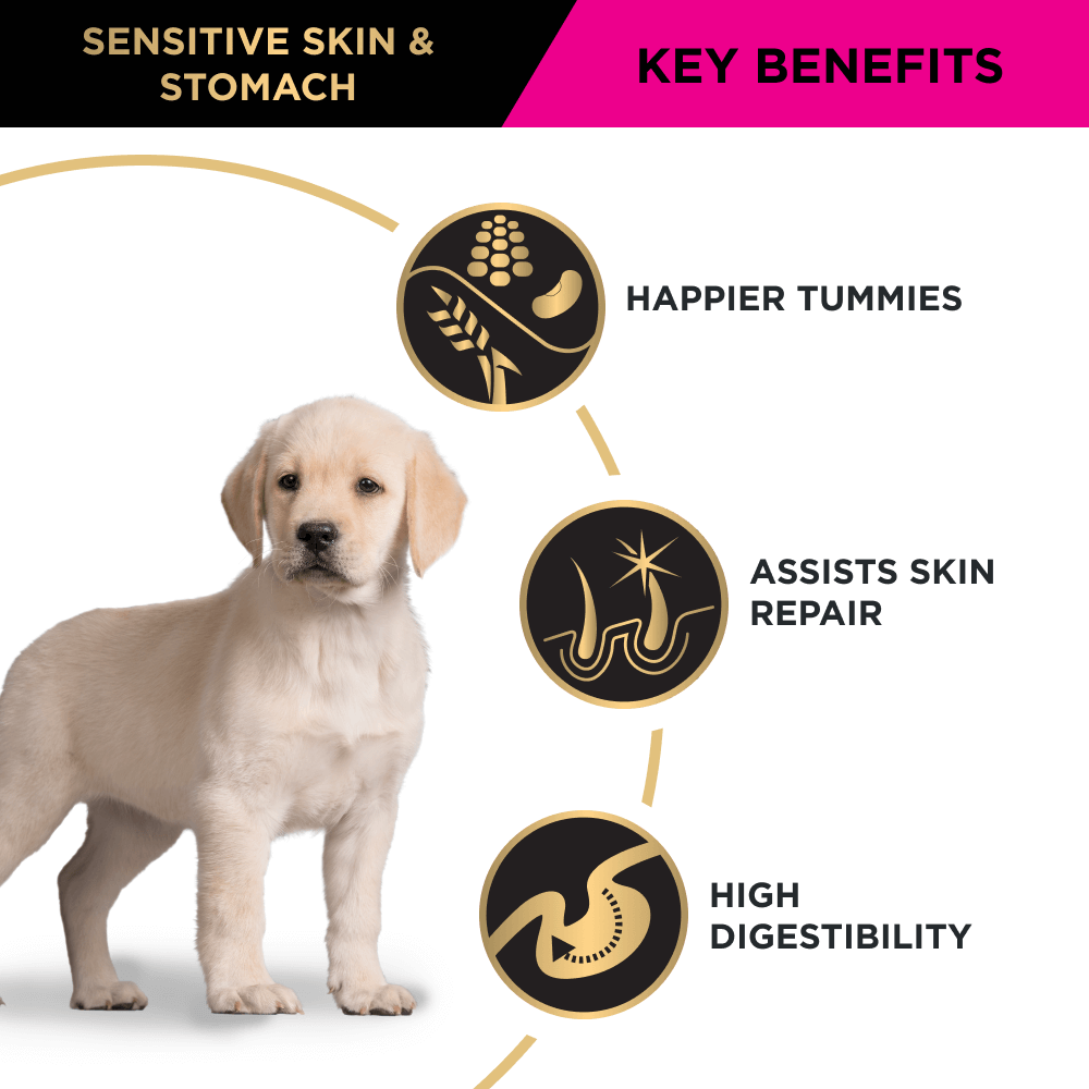 Pro Plan Sensitive Stomach & Skin Salmon & Mackerel Puppy Dry Dog Food
