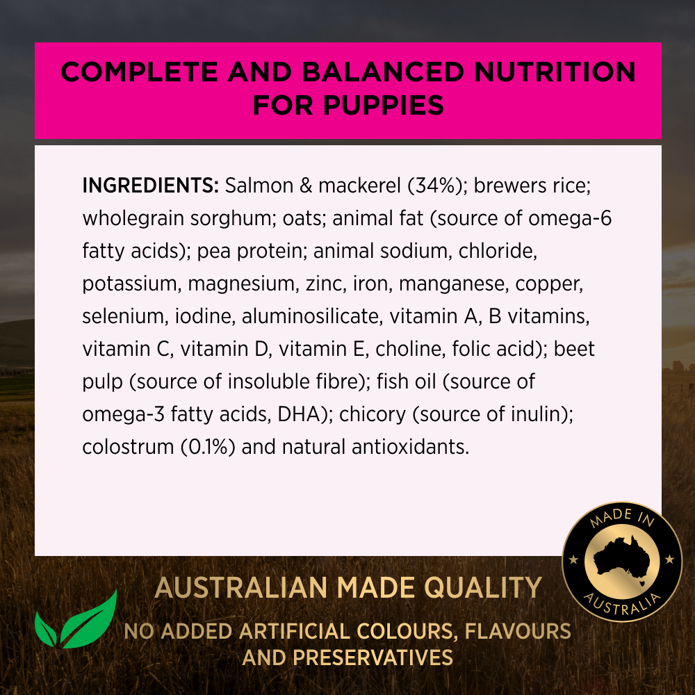 Pro Plan Sensitive Stomach & Skin Salmon & Mackerel Puppy Dry Dog Food