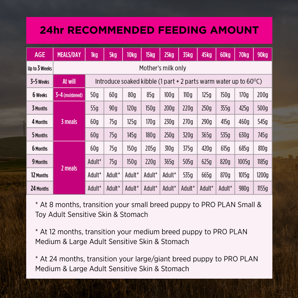 Pro Plan Sensitive Stomach & Skin Salmon & Mackerel Puppy Dry Dog Food