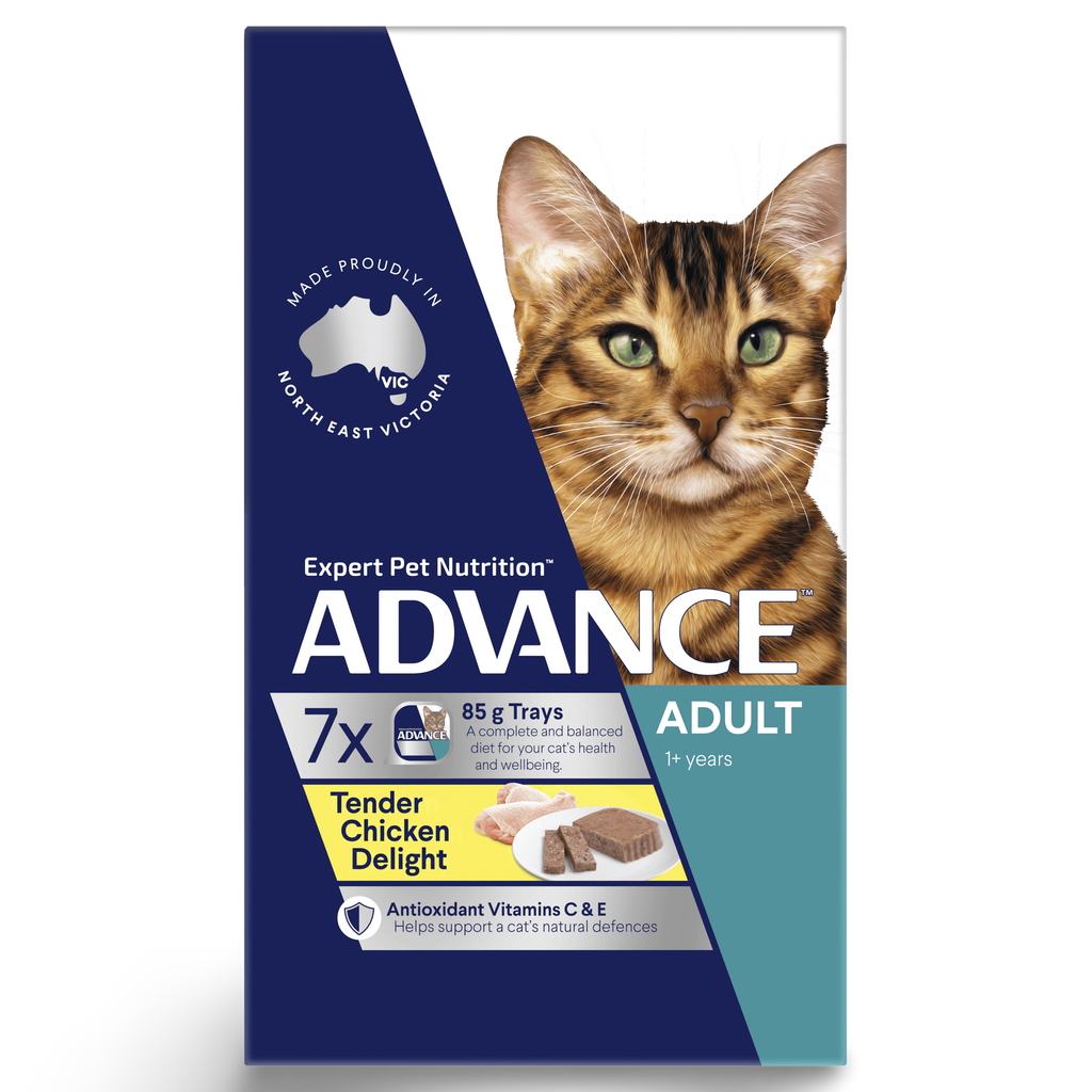 Advance Adult Tender Chicken Delight Wet Cat Food Trays