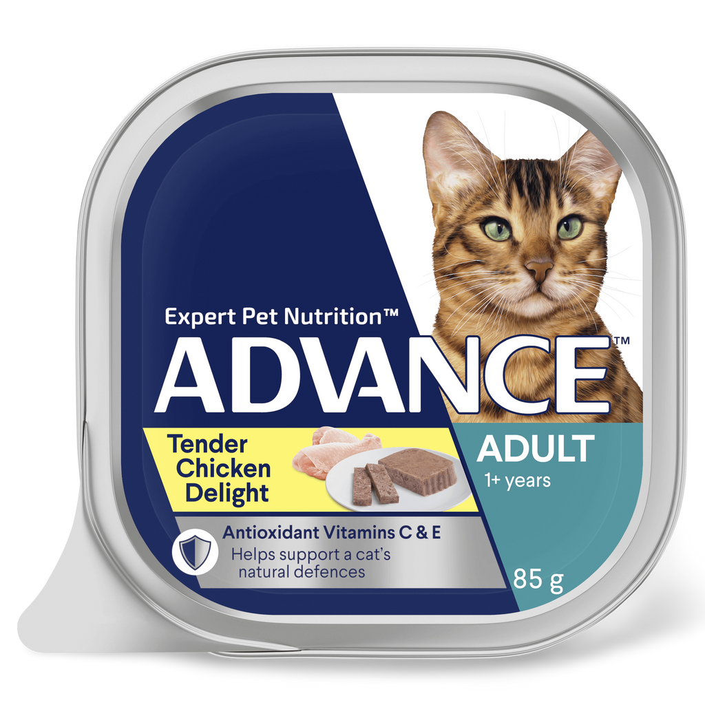 Advance Adult Tender Chicken Delight Wet Cat Food Trays