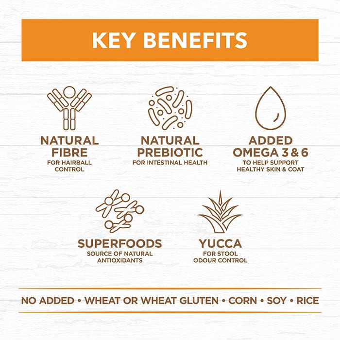 An infographic titled 'KEY BENEFITS' on a white wood-texture background, showing six brown line icons and text for natural fibre, natural prebiotic, added omega 3 & 6, superfoods, yucca, and no added wheat or gluten.