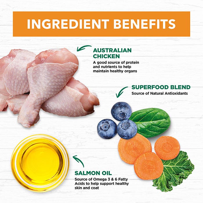 Ingredient benefits of Australian chicken, superfood blend, and salmon oil on a white background.