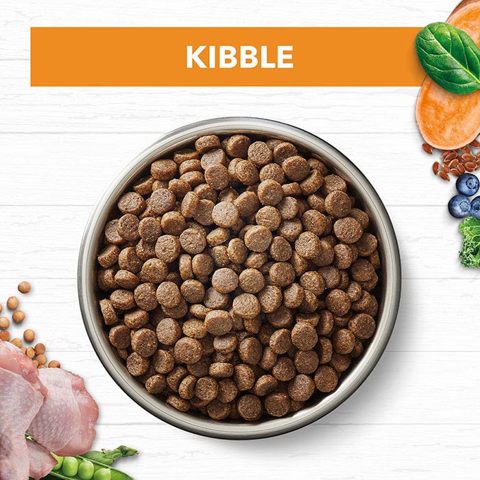 Bowl of kibble with ingredients on a white background
