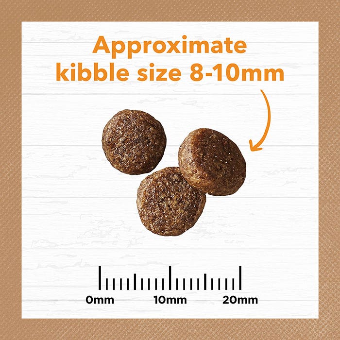 Three dog kibble pieces with a measurement scale showing approximate size 8-10mm on a lined paper background.