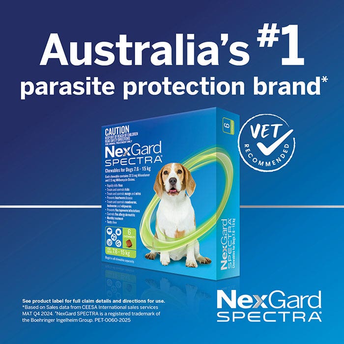 NexGard Spectra Chews Very Small Dog Orange (1.35-3.5KG)