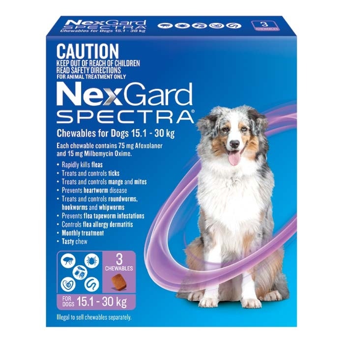 NexGard Spectra Chews Large Dog Purple (15.1–30kg)