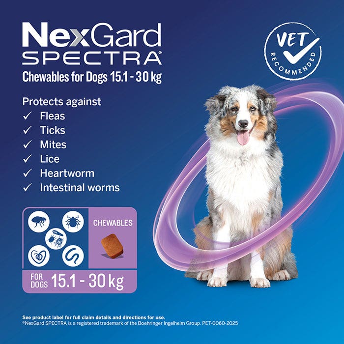 NexGard Spectra Chews Large Dog Purple (15.1–30kg)