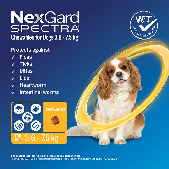 NexGard Spectra Chews Small Dog Yellow (3.6–7.5kg)