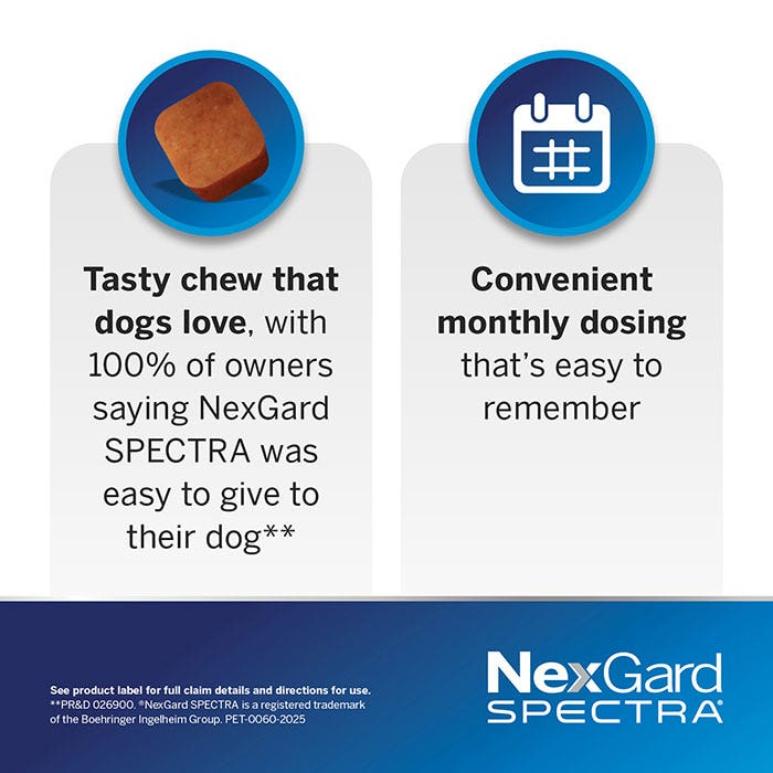 NexGard Spectra Chews Small Dog Yellow (3.6–7.5kg)