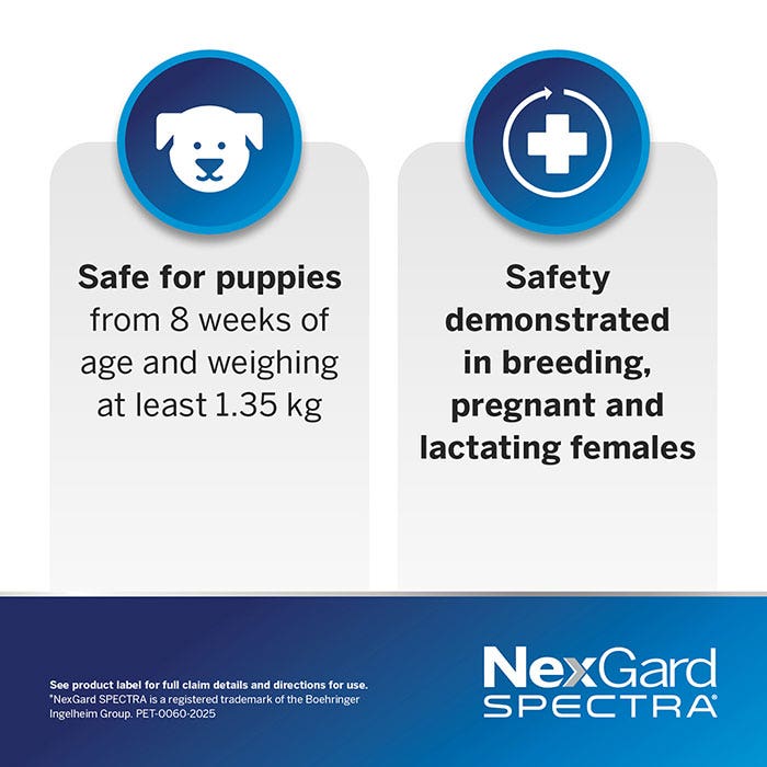 NexGard Spectra Chews Small Dog Yellow (3.6–7.5kg)