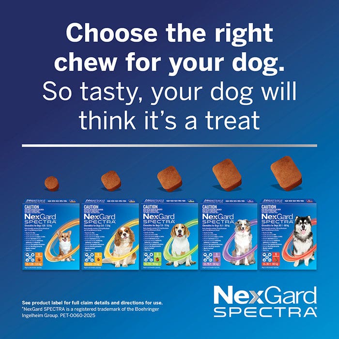 NexGard Spectra Chews Small Dog Yellow (3.6–7.5kg)