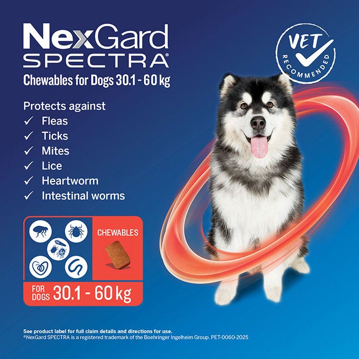 NexGard Spectra Chews Very Large Dog Red (30.1–60kg)