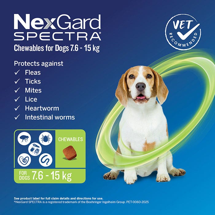 NexGard Spectra Chews Medium Dog Green (7.6–15kg)