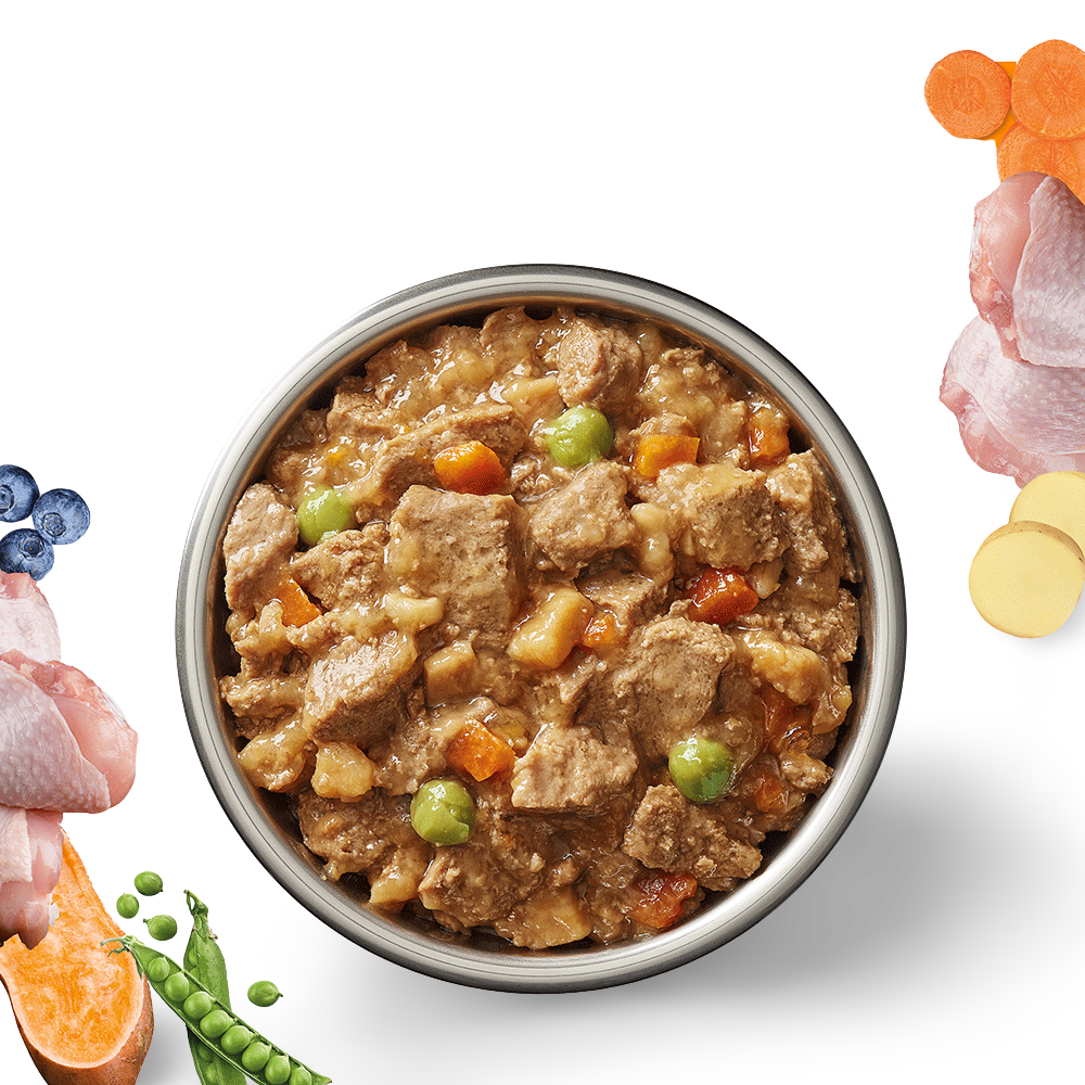 Ivory Coat Grain Free Chicken Stew Adult Wet Dog Food 400g x 12