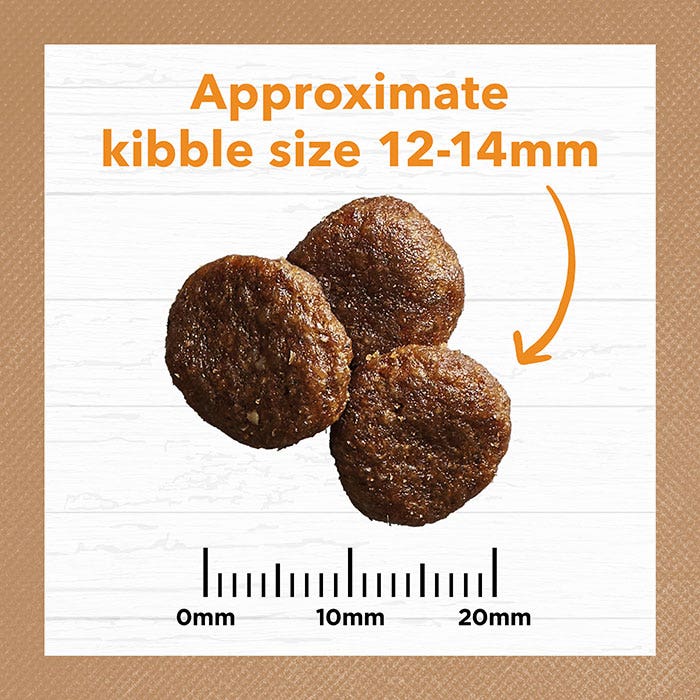 Ivory Coat Grain Free Chicken Adult Dog Food