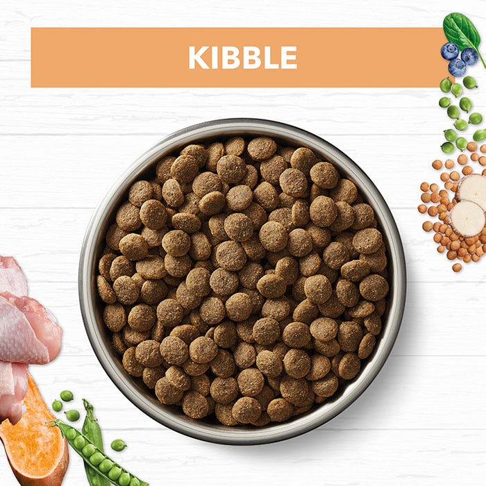 Ivory Coat Grain Free Chicken Puppy Food