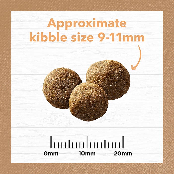 Ivory Coat Grain Free Chicken Puppy Food