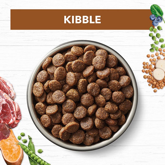 Ivory Coat Grain Free Lamb & Roo Adult Dog Food