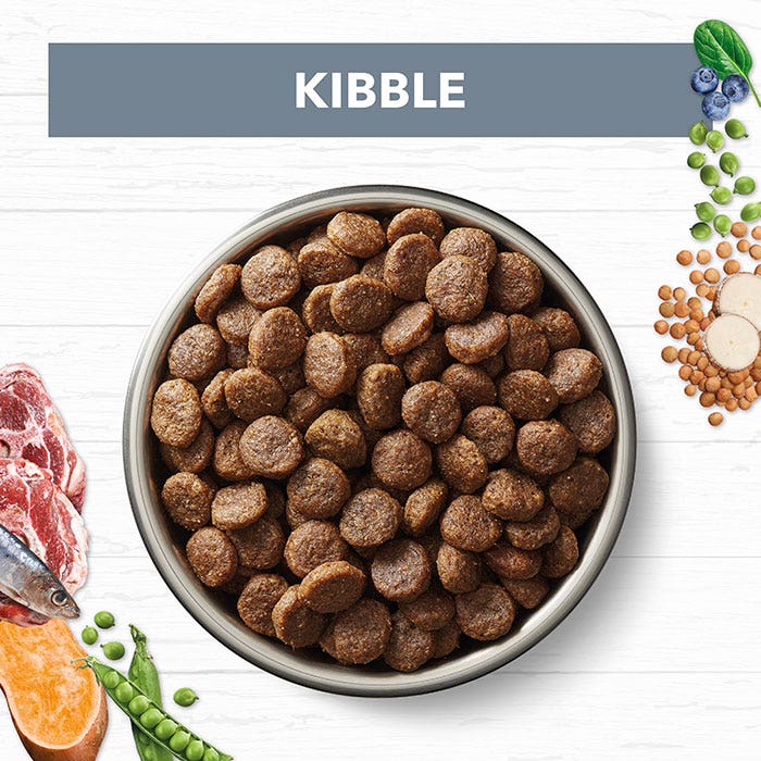 Ivory Coat Grain Free Lamb & Sardine Adult Dog Dry Food