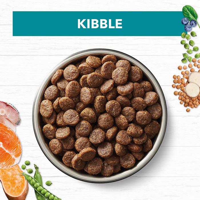 Ivory Coat Grain Free Ocean Fish & Salmon Adult Dog Dry Food