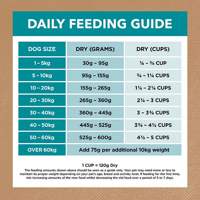 Ivory Coat Grain Free Ocean Fish & Salmon Adult Dog Dry Food