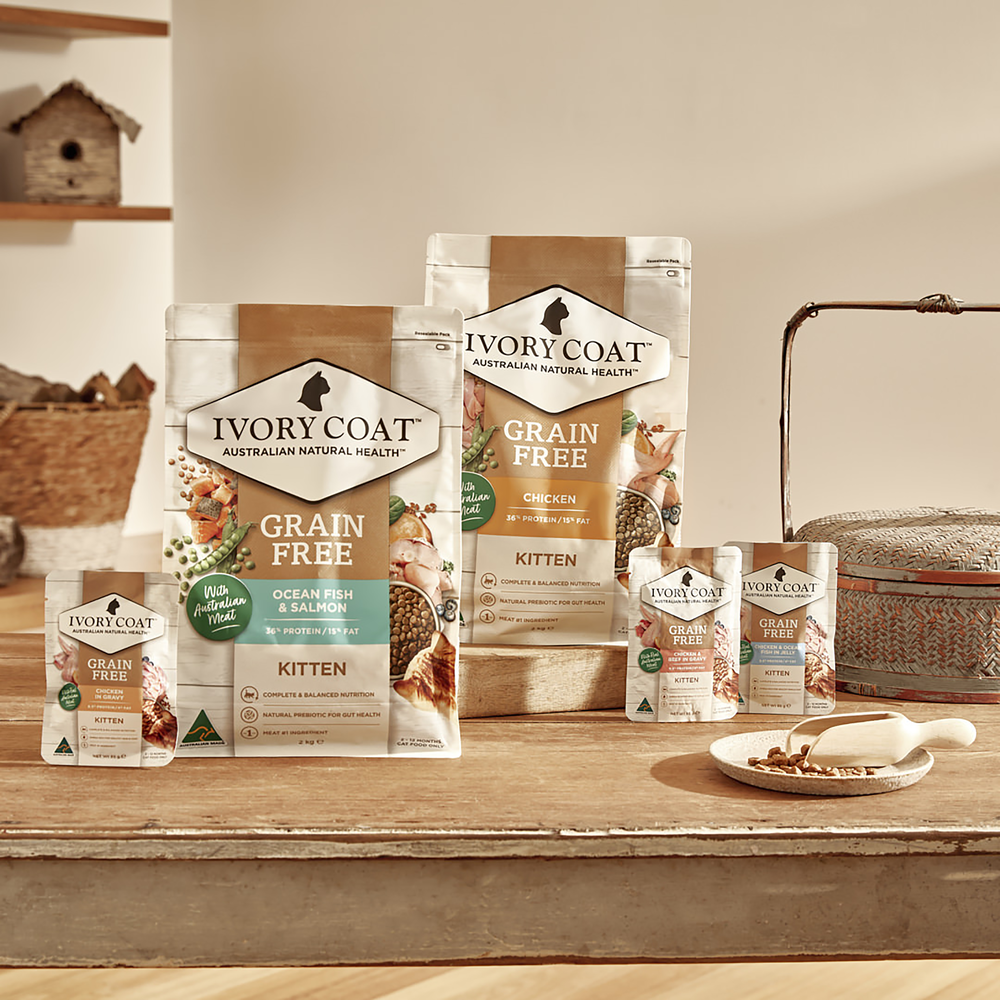 Ivory Coat Grain Free Chicken in Gravy Kitten Wet Cat Food 85g x 12
