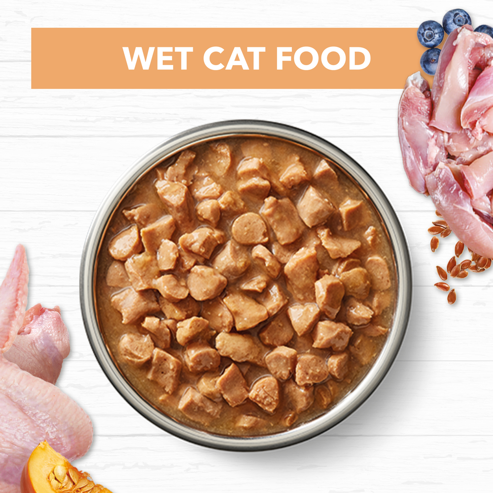 Ivory Coat Grain Free Chicken in Gravy Kitten Wet Cat Food 85g x 12