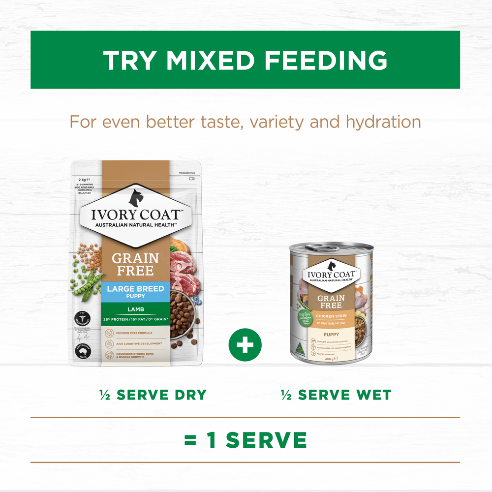 Ivory Coat Grain Free Lamb Large Breed Puppy Dry Dog Food