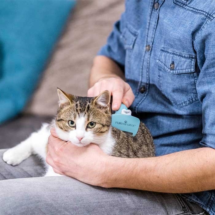 Furminator Long Hair Cat Deshedding Tool S