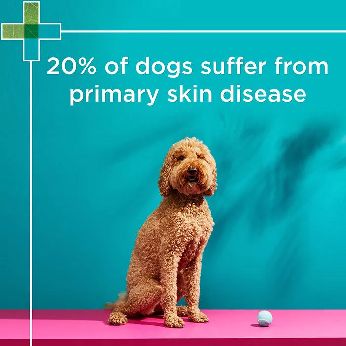 PAW NutriDerm Replenishing Shampoo for Dogs & Cats