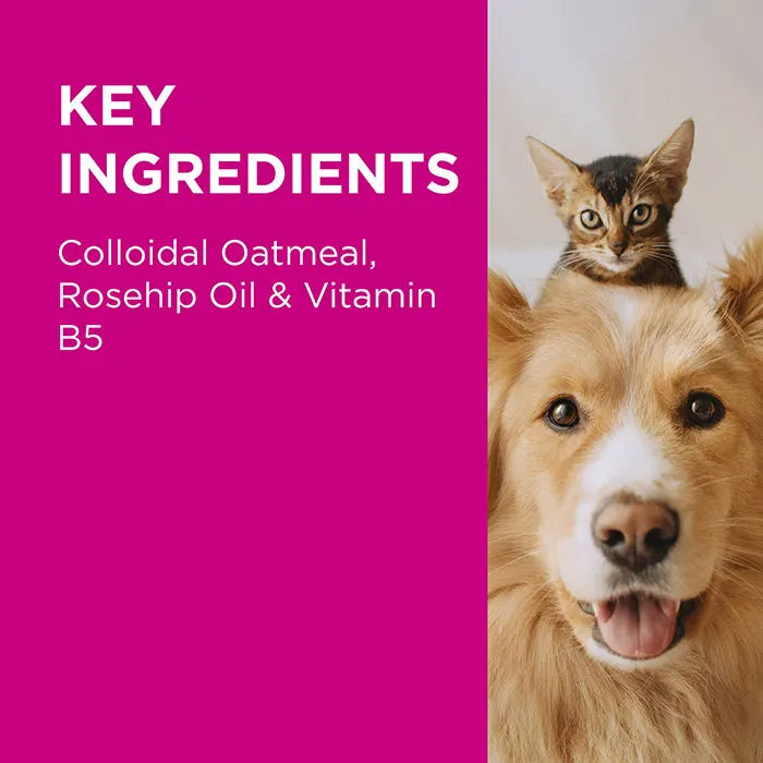 PAW NutriDerm Replenishing Shampoo for Dogs & Cats