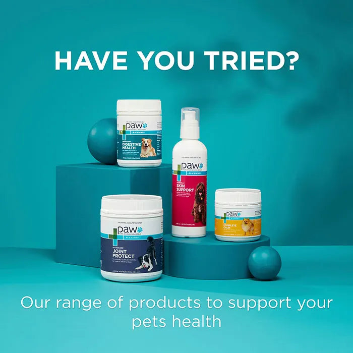 PAW NutriDerm Replenishing Shampoo for Dogs & Cats