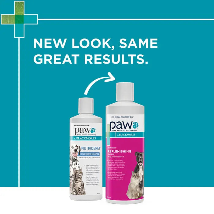 PAW NutriDerm Replenishing Shampoo for Dogs & Cats