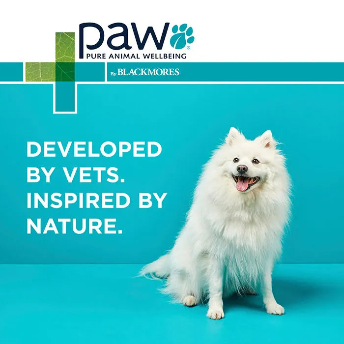 PAW NutriDerm Replenishing Shampoo for Dogs & Cats