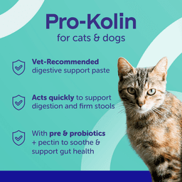 Protexin Pro Kolin+ Probiotic Paste Dogs & Cats Short Term Gastrointestinal Support