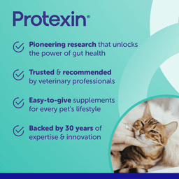 Protexin Pro Kolin+ Probiotic Paste Dogs & Cats Short Term Gastrointestinal Support