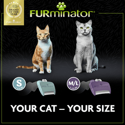 Furminator Short Hair Cat Deshedding Tool M/L