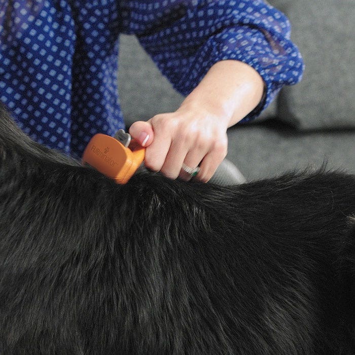 Furminator Short Hair Dog Deshedding Tool M