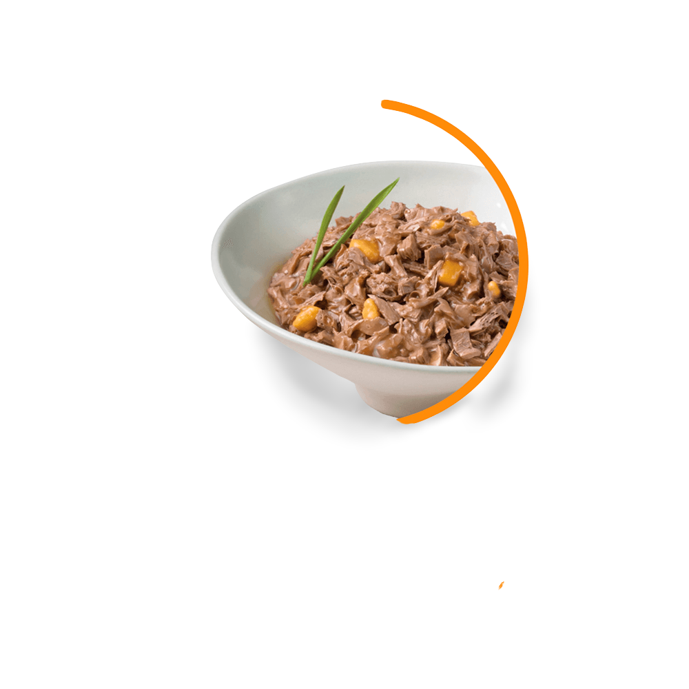 Fancy Feast Cheddar Delights Cat Food Can