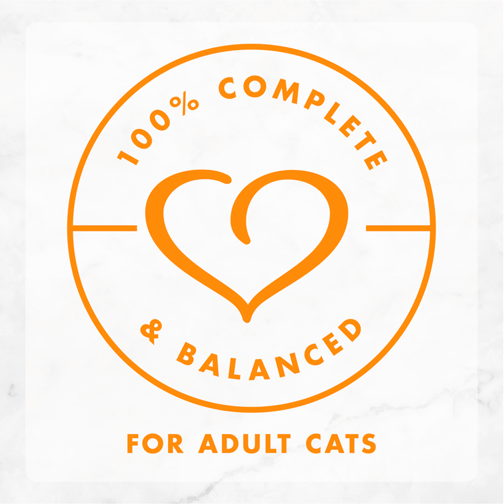 Fancy Feast Cheddar Delights Cat Food Can