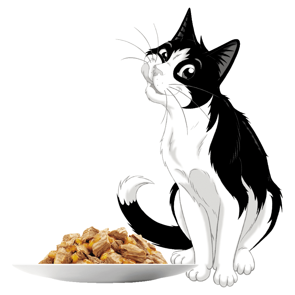 Felix Menus in Jelly Kitten Wet Cat Food Pouches