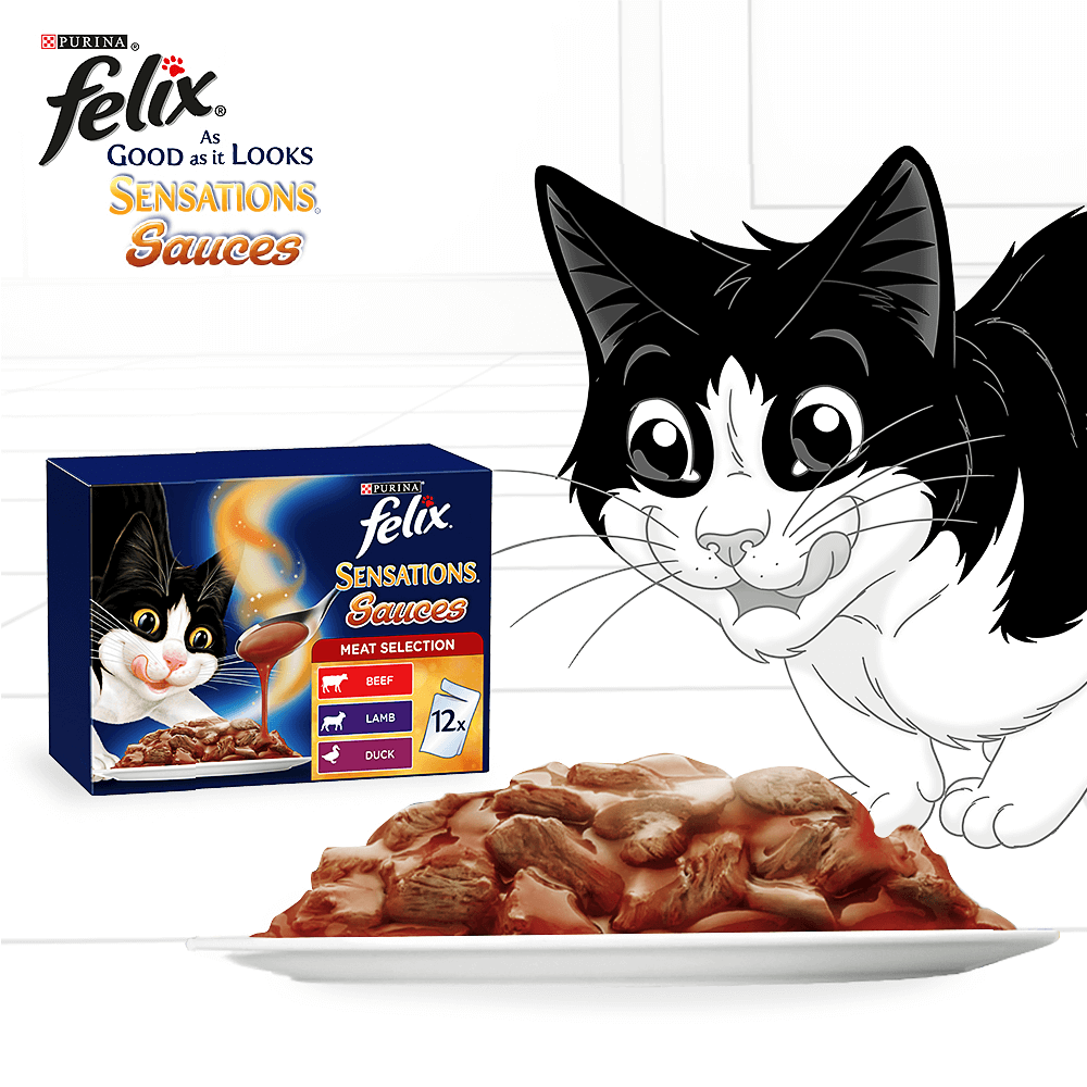 Felix Sensations Sauces Meat Selection Adult Wet Cat Food Pouches